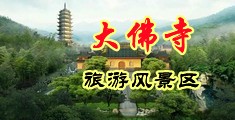 www女生被艹很爽中国浙江-新昌大佛寺旅游风景区